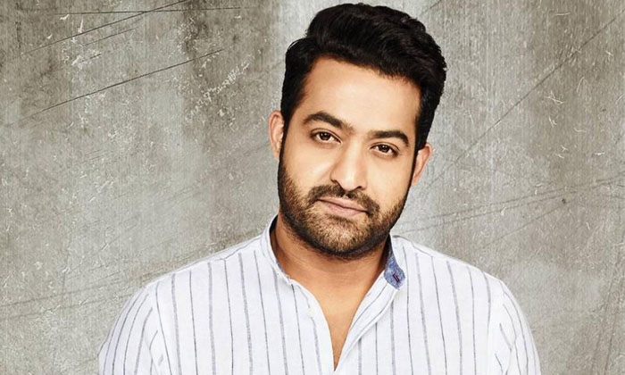  Young Tiger Junior Ntr Great In That Matter Details Here Goes Viral , Ntr, Tolly-TeluguStop.com