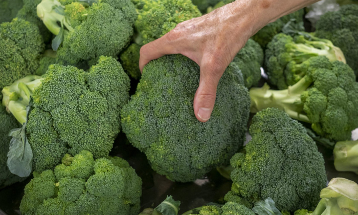 Telugu Broccoli, England, Latest, Offers, Snake, Snake Broccoli, Vegetable, Vege