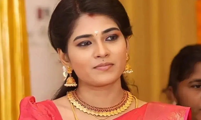  Pandian Stores Actress Revealed About Her Casting Couch Experience In Auditions-TeluguStop.com