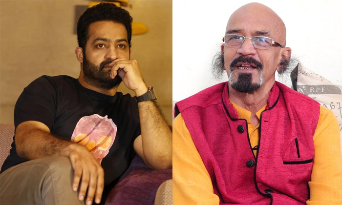  Producer Chittibabu Shocking Comments About Tarak Political Entry Details, Ntr,-TeluguStop.com