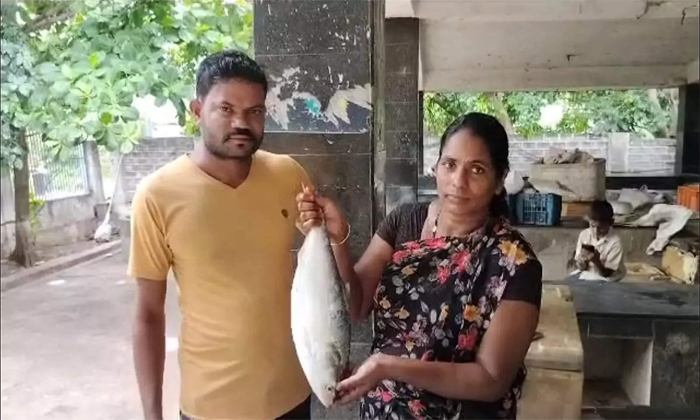  Pulasa Fish Season Started In Yanam, Pulasa Fish , Yanam, Pulasa Fish Auction, K-TeluguStop.com