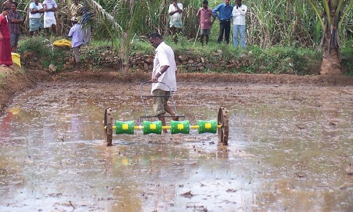  Reduce Labor Cost With This Paddy Drum Seeder Machine Details, Labor Cost , Padd-TeluguStop.com