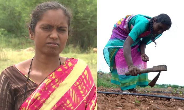 Shocking Facts About Sake Bharati Details Here Goes Viral In Social Media , Sake Shocking Facts About Sake Bharati Details Here Goes Viral In Social Media , Sake-TeluguStop.com