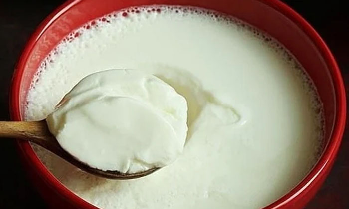  Side Effects Of Eating Curd At Night! Curd, Curd Health Benefits, Latest News, C-TeluguStop.com