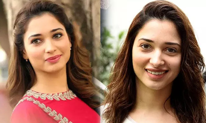 Tamannah Signed Crazy Projects In Bollywood Here, Tamannah ,bollywood, Tollywood-TeluguStop.com