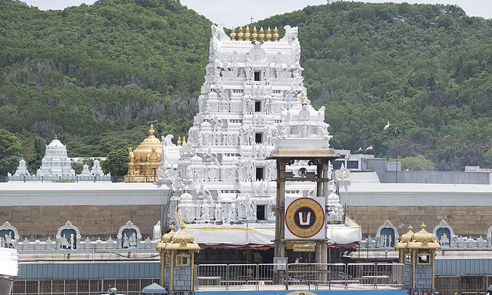 Telugu Ap Volunteers, Cm Kcr, Harish Rao, Jagga Reddy, Mallu Ravi, Mithun Reddy, Telugu Ap Volunteers, Cm Kcr, Harish Rao, Jagga Reddy, Mallu Ravi, Mithun Reddy,