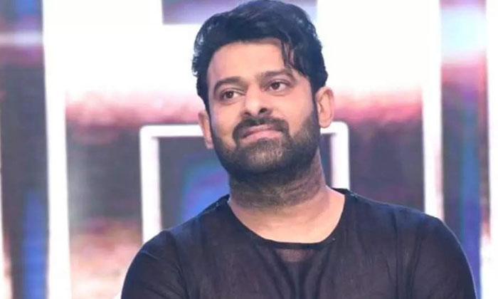  Salaar Projectk Will Decide Prabhas Career Details Here Goes Viral , Salaar , Na-TeluguStop.com