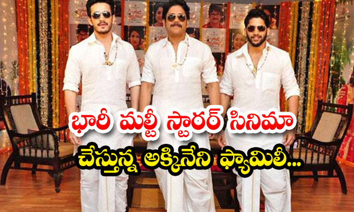  Akkineni Family Doing A Huge Multi-starrer Film, Akkineni Family , Naga Chaitan-TeluguStop.com