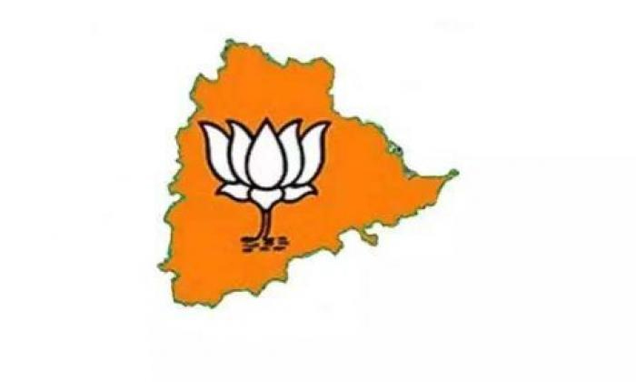 Telugu Telangana Bjp, Telangana-Politics