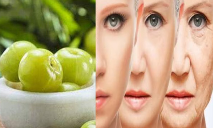  Amazing Health Benefits Of Eating Amla,amla,amla Powder,honey,sign Of Aging,amla-TeluguStop.com