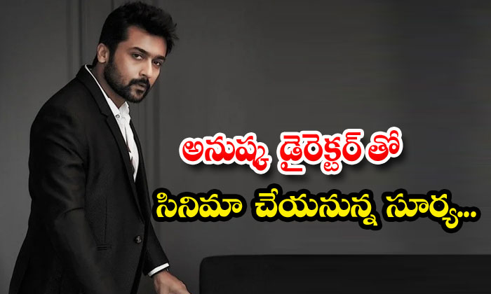  Anushka To Film With Director Surya, Surya , Trivikram, Anushka, Director Ashok,-TeluguStop.com