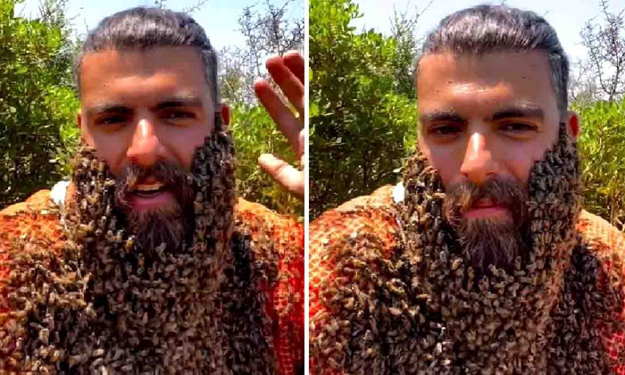  Bees Beehive On Young Man Face Video Viral Details, Bees, Viral News, Bees Stunt-TeluguStop.com