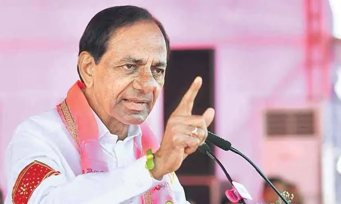  Will Rajaiah Contest As An Independent In Station Ghanpur, Cm Kcr, Tatikonda R-TeluguStop.com