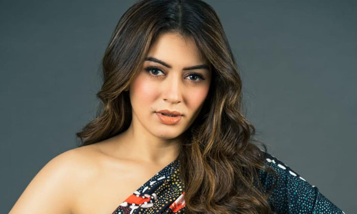  Heroine Hansika Shocking Comments About Her Habits Details Here Goes Viral, Desa-TeluguStop.com
