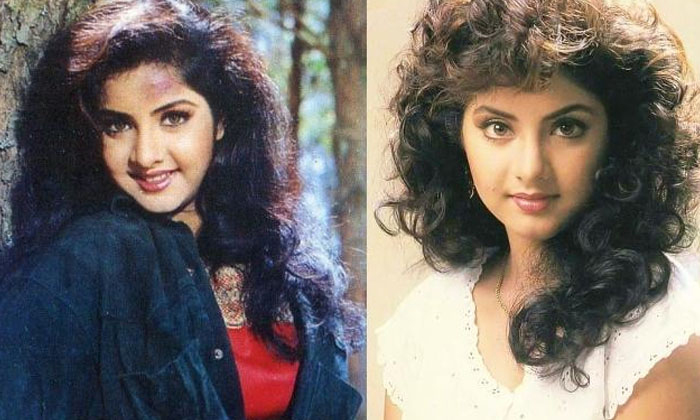 Telugu Bobbili Raja, Bobbiliraja, Dharmakshetram, Divya Bharti, Divyabharti, Kar