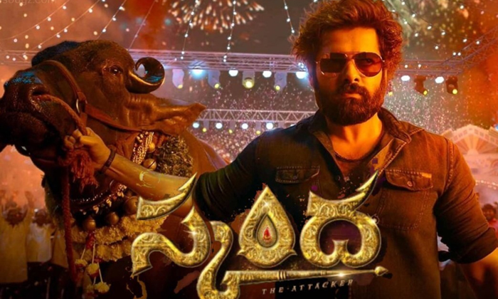  Ram Pothineni New Movie Skanda Trailer Released Ram Pothineni, Skanda Trailer,sr-TeluguStop.com