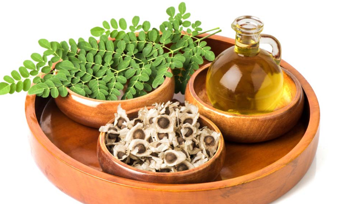  Wonderful Benefits Of Moringa Oil For Hair!, Moringa Oil, Moringa Leaves, Latest-TeluguStop.com