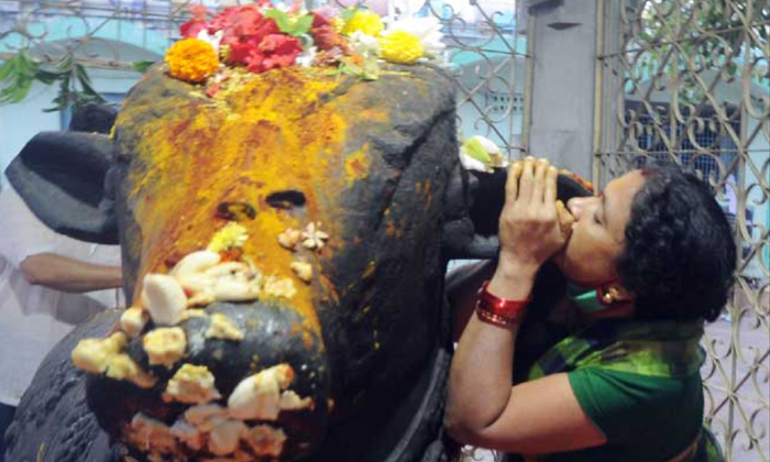  How To Whisper Your Prayers In Nandi's Ears,nandi Ears,lord Shiva,lord Shiva Nan-TeluguStop.com