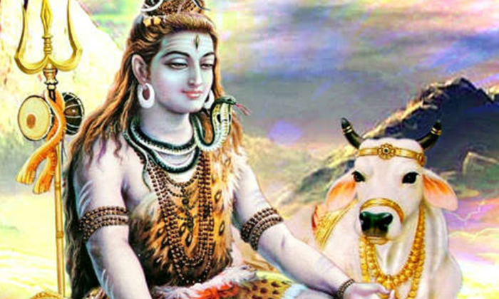 Telugu Bhakti, Devotional, Lord Shiva, Lordshiva, Nandi Bee Shiva, Nandi Ears-La