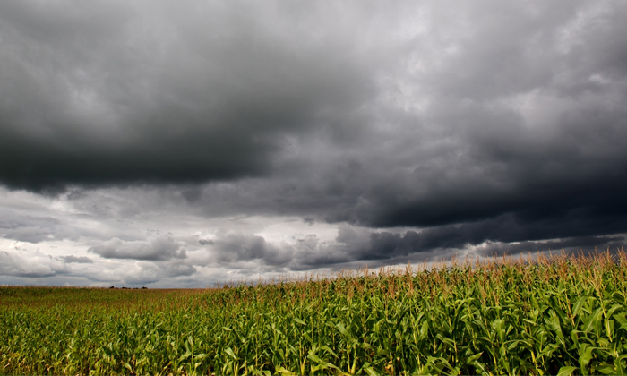  Lowest Rainfall Recorded In August Month Details, Rainfall Conditions, Country,-TeluguStop.com