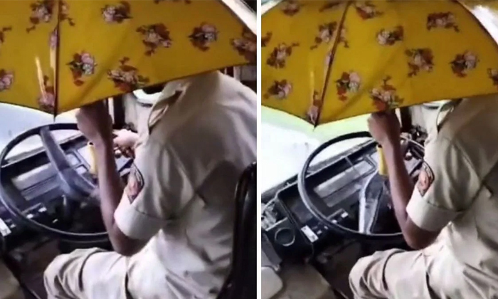  Maharashtra State Bus Driver Holds Umbrella While Driving During Rains In Gadchi-TeluguStop.com