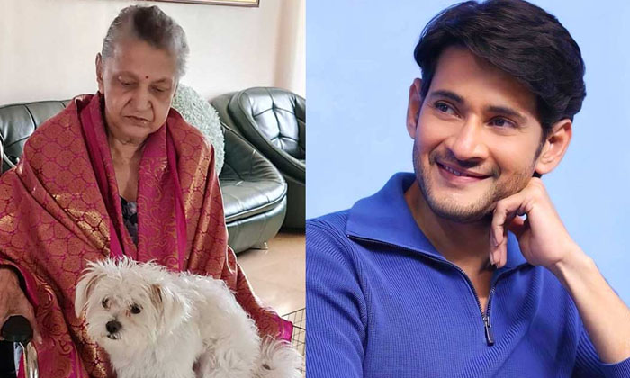 Telugu Indira Devi, Jr Ntr, Krishna, Mahesh Babu, Nandamurihari, Tollywood, Triv