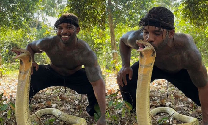  Man Kisses King Cobra On Head In Viral Video Details, Snake, Viral Latest, News-TeluguStop.com