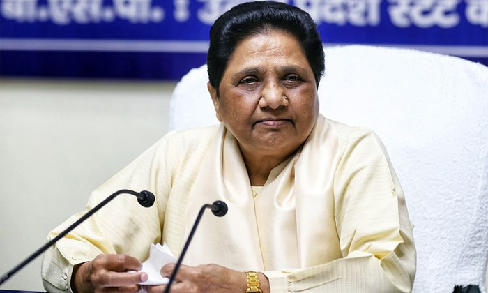 Telugu Bahujan Samaj, Bsp Mayawati, Bsp, India Alliance, India, Mayawati, Votes,