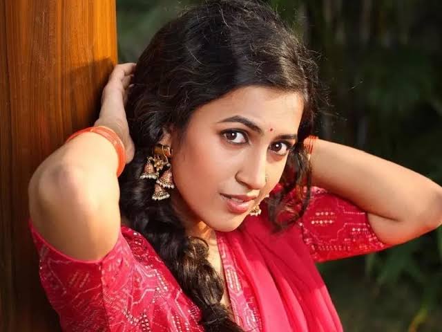  Mega Daughter Niharika’s Career Takes An Interesting Turn After Divorce-TeluguStop.com
