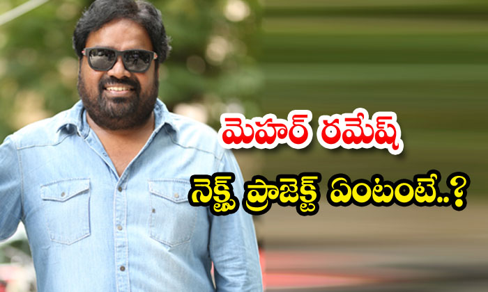  What Is Mehr Ramesh's Next Project? , Mehar Ramesh , Viral, Tamannaah , Keerthy-TeluguStop.com