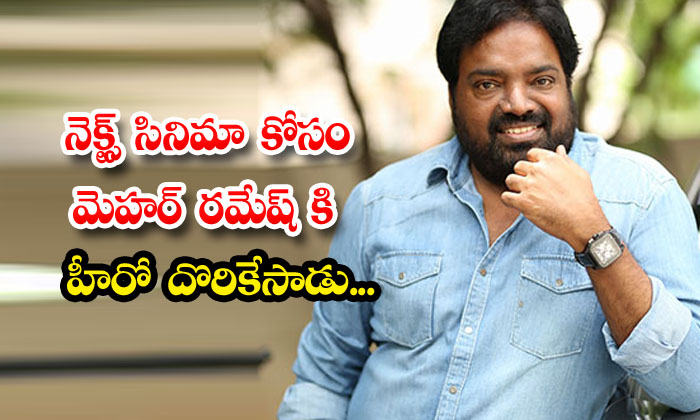  Mehr Ramesh Gets Hero For Next Movie, Raj Tarun, Meher Ramesh, Big Budget Movies-TeluguStop.com