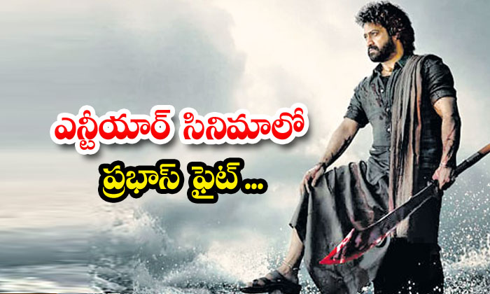 Prabhas Fight In Ntr Movie, Devara, Ntr, , Devara Movie,tollywood, Koratala Shiv Prabhas Fight In Ntr Movie, Devara, Ntr, , Devara Movie,tollywood, Koratala Shiv-TeluguStop.com