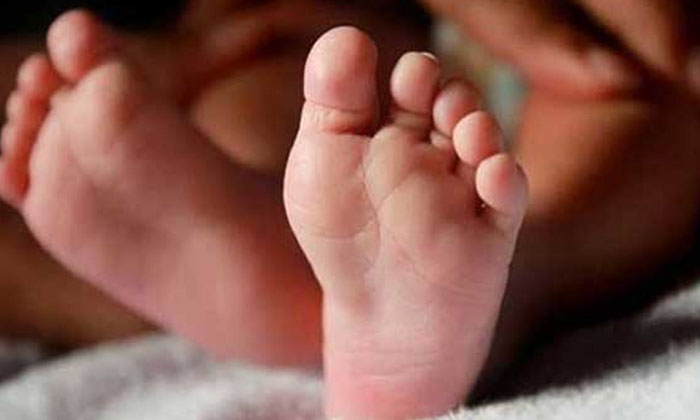  Baby In Old Man's Bag Auto Driver Got Suspicious Crime News, Ntr District, And-TeluguStop.com