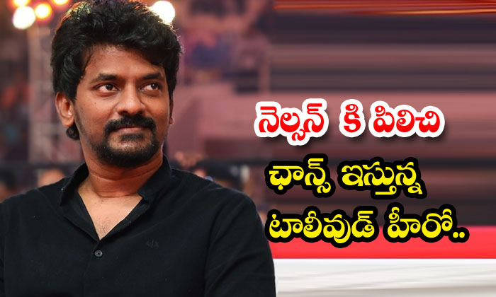  That Star Hero Calling Nelson And Giving Him A Chance., Nelson Dilipkumar, Bho-TeluguStop.com