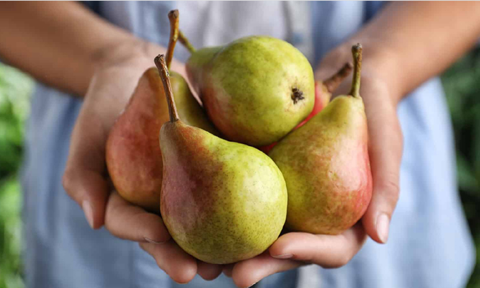 Telugu Digestive, Tips, Pears, Pears Fruit, Effects-Telugu Health