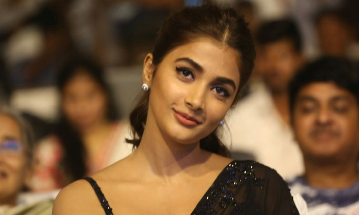  Pooja Hegdes Life Is In Danger Thats Why She Is Not Agreeing To New Movies-TeluguStop.com