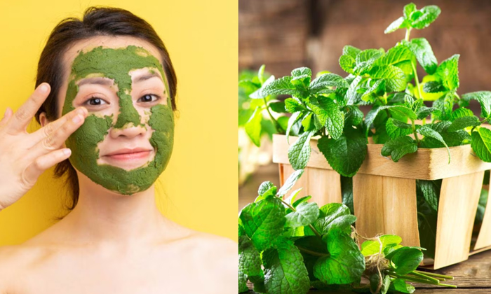  How To Get Spotless Skin With Mint Leaves!, Mint Leaves, Mint Leaves Benefits, S-TeluguStop.com