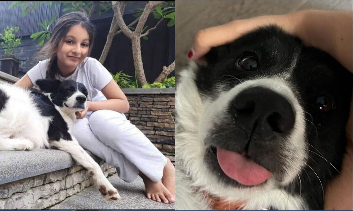  Mahesh Babu’s Beloved Pet Dog Passes Away, Namrata And Sitara Share Heartf-TeluguStop.com