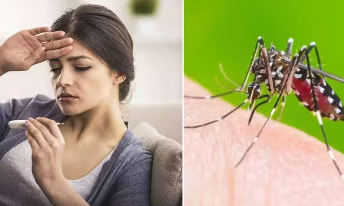 Telugu Bhakti, Cholera, Dengue, Devotional, Hepatitis, Marriages, Scientifically