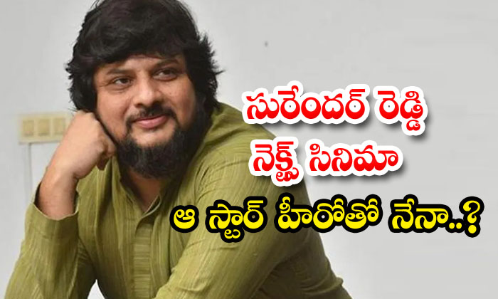  Surender Reddy's Next Movie With That Star Hero , Surendar Reddy , Tollywod, Ag-TeluguStop.com