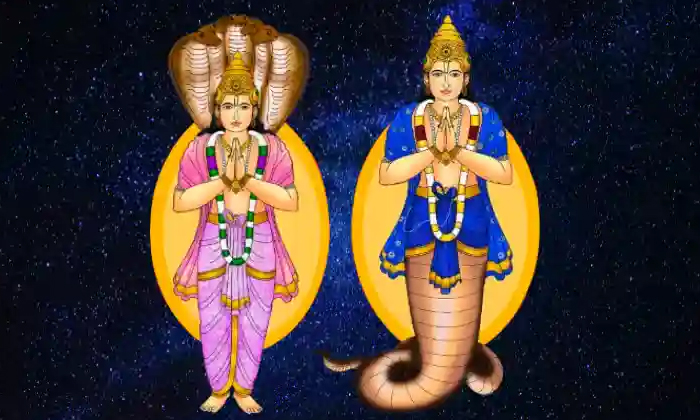 Telugu Astrology, Capricorn, Ketu, Rasi Falalu, Shadow Planet, Virgo, Zodiac-Lat