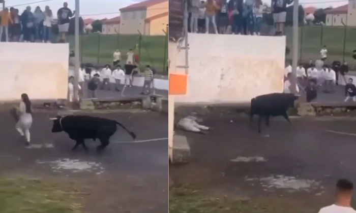  Angry Bull Attacks Woman Video Viral On Social Media Details, Viral Video, Viral-TeluguStop.com