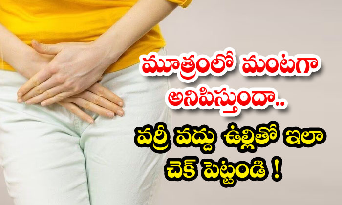 Do you feel burning in urine.. Don’t worry, check this with onion!