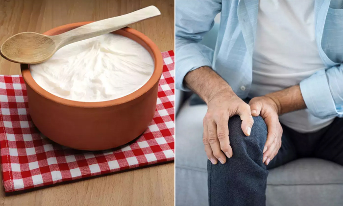  Can Knee Pain Patients Eat Curd What Are Its Effects Details, Knee Pains, Joint-TeluguStop.com
