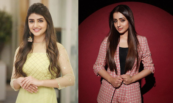 Telugu Bhola Shankar, Bro Daddy, Chiranjeevi, Sharwanand, Sreeleela, Trisha-Movi Telugu Bhola Shankar, Bro Daddy, Chiranjeevi, Sharwanand, Sreeleela, Trisha-Movi