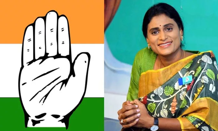  Sharimila Get Last Option From Delhi Congress , Sharimila , Congress Party, Rev-TeluguStop.com