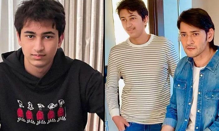 Happy Birthday My Champ Mahesh Said Birthday Wishes To His Son, Mahesh Babu, Gau Happy Birthday My Champ Mahesh Said Birthday Wishes To His Son, Mahesh Babu, Gau-TeluguStop.com