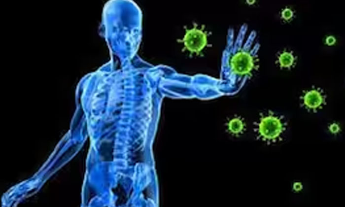 Telugu Tips, Latest, Lemon, Lemon Benefits-Telugu Health Telugu Tips, Latest, Lemon, Lemon Benefits-Telugu Health