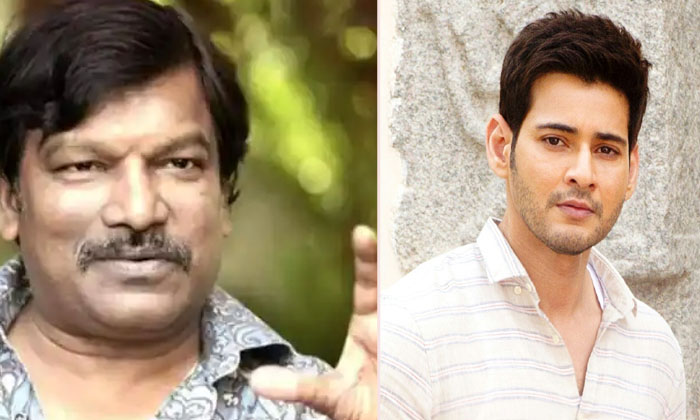  Krishnavamsi Comments About Mahesh Babu Details Here Goes Viral-TeluguStop.com