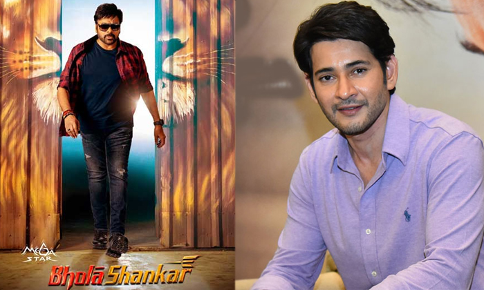  Mahesh Babu Rejected Chiranjeevi Bhola Shankar Movie Details, Bhola Shankar, Mah-TeluguStop.com